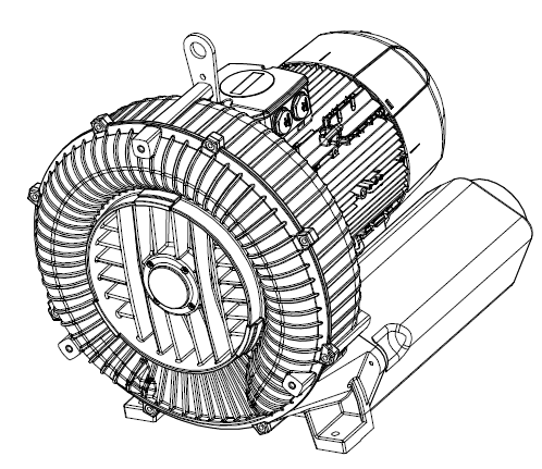 2RB 1010